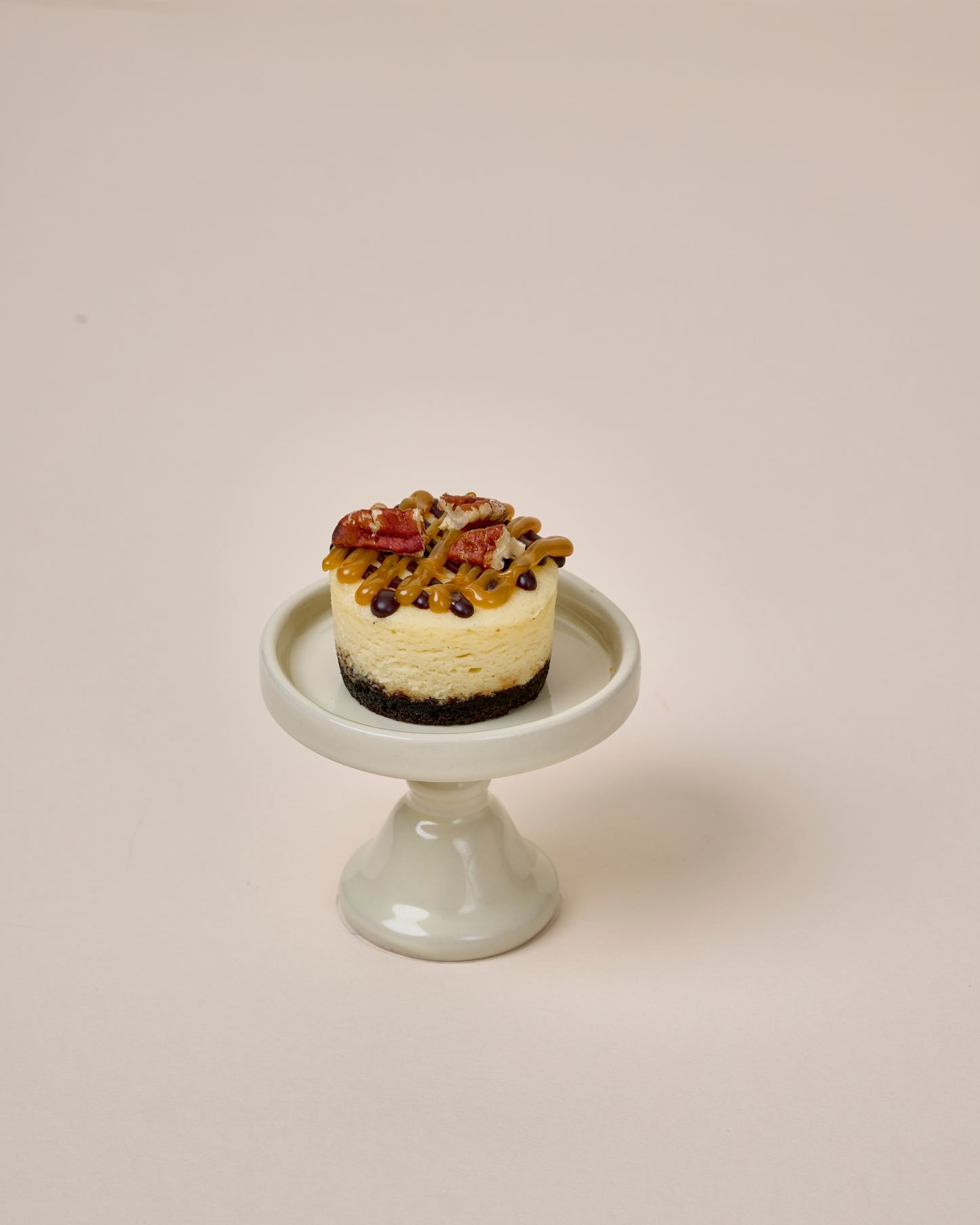 Mini Turtle Cheesecake